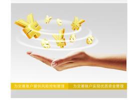 四川鼎楓金服商務信息咨詢 專業(yè)服務助力企業(yè)發(fā)展