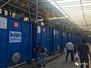 集裝箱養(yǎng)殖要火了嗎 各地的水產(chǎn)站都來觀摩,還成立了聯(lián)盟,或?qū)⒂质且粋€新風(fēng)口