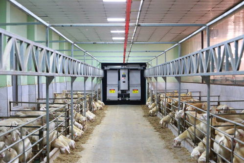 農業“雙強”行動結碩果，浙江農業生產更高效，集裝箱租賃助力產業升級