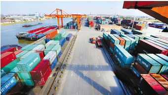 浙江日報 集裝箱購銷市場分析與未來展望